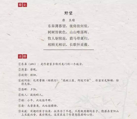 有关我与古诗词的美文450字