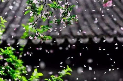 夜里的花诗词