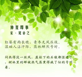 绿茵相关的诗词