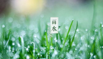 与雨水有关的古诗词