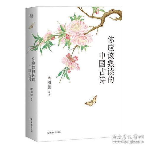 有关古代诗词的书