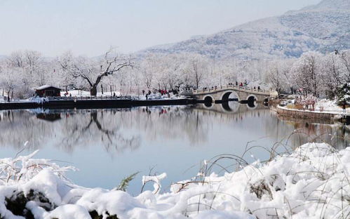 搜集与雪有关的古诗词