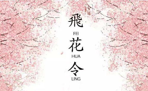 中华好诗词飞花令的字