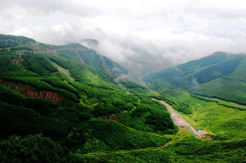 有关六盘山的配乐诗词