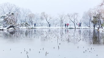 雪景,诗句,美丽