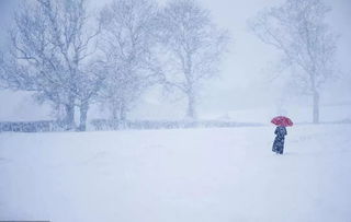 诗句,大雪