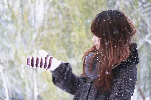 雪花与思念的诗句,雪花寄托思念的诗句,雪花思念一个人诗句