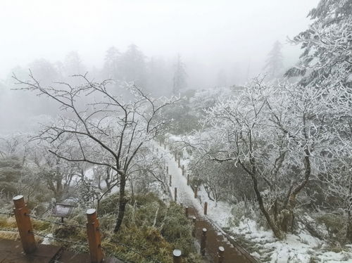 有关瓦屋山雪景的诗句