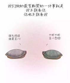 从陌生到熟悉的诗句怎么写,形容陌生到熟悉的诗句,形容人从陌生到熟悉的诗句