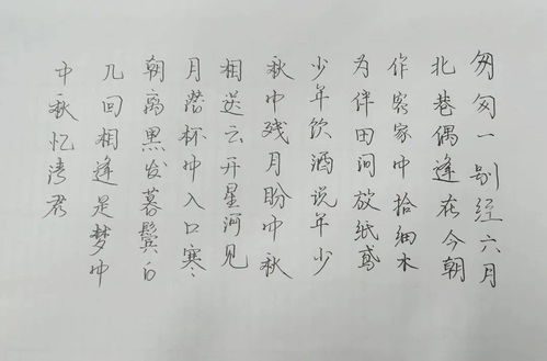 诗句,作者,资料