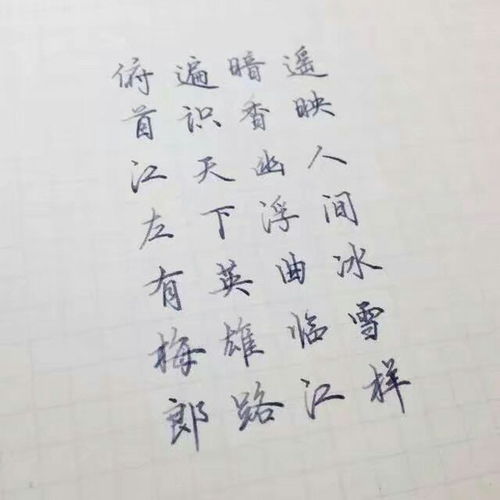 有关美字的诗句