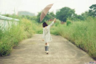 关于雨中漫步的诗句,形容雨中漫步的诗句,苏轼雨中漫步的诗句