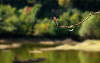 熟悉的有关梅雨的诗句