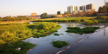 诗句,河流