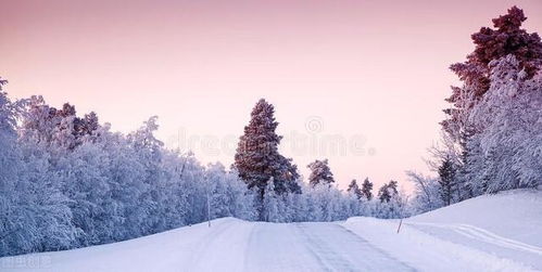 静心,诗句,冰雪