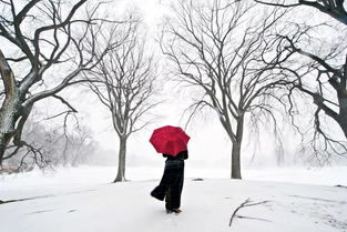 自己写有关雨和雪的诗句