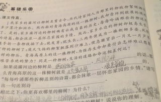 关于折柳送别的诗句有哪些,有关折柳送别的诗句的古诗,折柳送别的典故和诗句