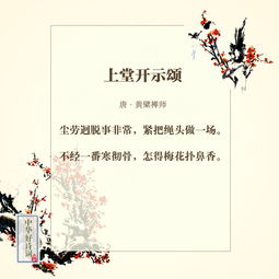 与花有关的诗句,花字有关的诗句,与花和月有关的诗句