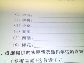 歌颂,诗句,情谊,小学