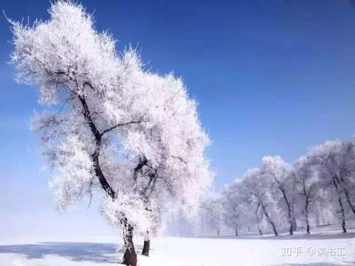 雪景,诗句