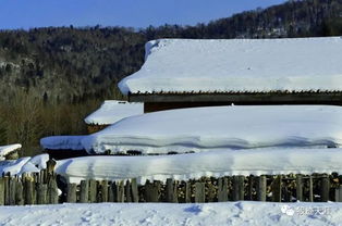 农历十一月初一大雪有关联的诗句