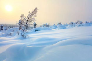 有关雪的名诗句大全