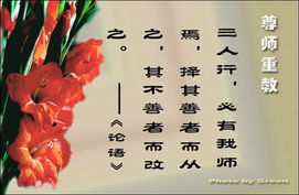 警句,教师节,诗句,名言