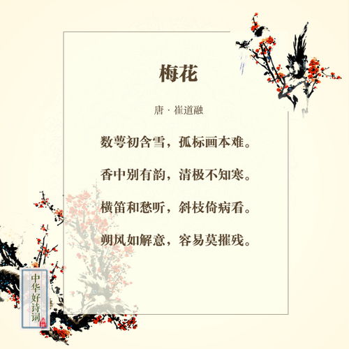 诗句,梅花,小学,有哪些