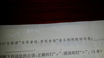 当局者迷有关的诗句是什么